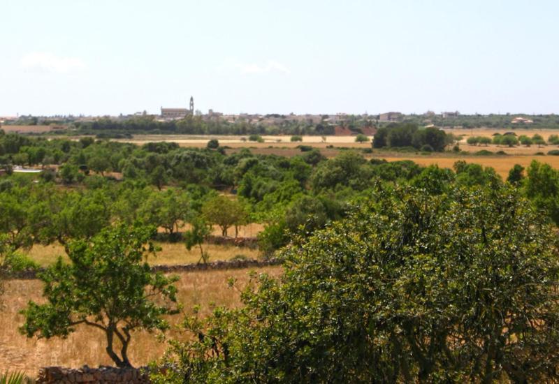 Son Fumat Villa Llombarts Buitenkant foto